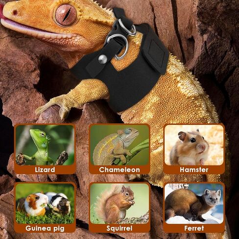 3 Pcs Bearded Dragon Harness and Leash Set, 3 Sizes Adjustable Soft Leather Lizard Harness with Leash, Small Animal Traction Rope Training Walking Vest for Bearded Dragon Lizard Squirrel in Kuwait