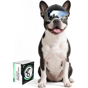 Namsan Small Dog Motorcycle Helmet with Clear Lens, for 16.5-27.5 lb, Hard Helmet for Dog Small Medium Breeds, Riding Hat with Ear Holes, Adjustable, Black