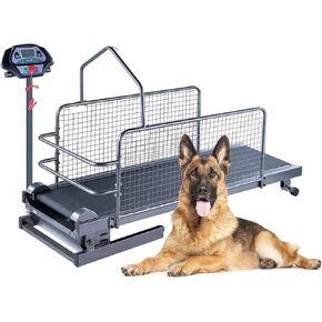 Pet Dog Running Machine Exercise Equipment, Fitness Pet Dog Running Machine,with LCD Display Scree, Speed 0.8-12 Km/H, for Dogs Indoor & Outdoor Training, Up to 220lb