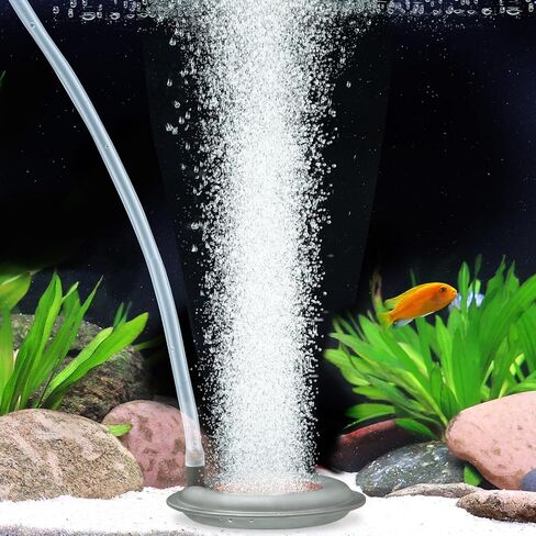Hygger Aquarium Air Stone ، بحجر الهواء النانوي 2.6 بوصة يصنع فقاعات صغيرة جدًا ، وناشر أكسجين صغير مقلوب هادئ للغاية مع قاعدة من الفولاذ المقاوم للصدأ للحوض ، وخزان الأسماك والسيارات المائية in Saudi Arabia