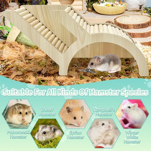 Pinvnby Hamster تسلق سلم ونفق مخبأ الهامستر الخشبي تسلق لعبة القفص إكسسوارات لفئران الجيربيل أو حيوانات صغيرة أخرى (نفق بسيط) in Kuwait