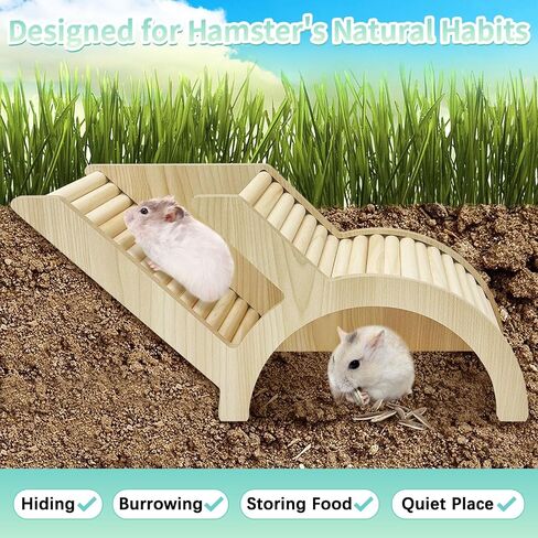 Pinvnby Hamster تسلق سلم ونفق مخبأ الهامستر الخشبي تسلق لعبة القفص إكسسوارات لفئران الجيربيل أو حيوانات صغيرة أخرى (نفق بسيط) in Kuwait