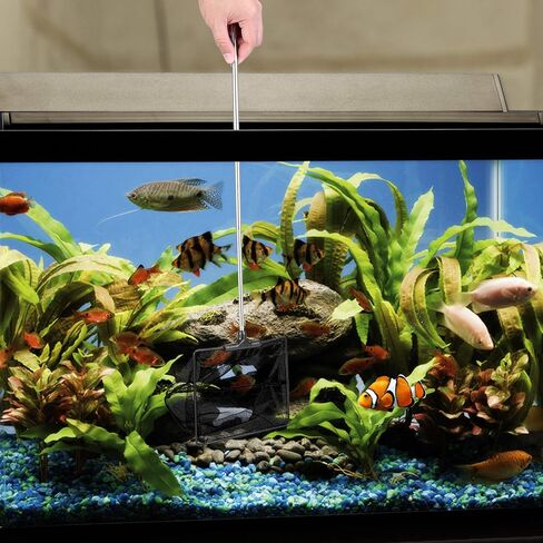 Mogoko Aquarium Fish Net, 10.8" x 16.3" Rectangular Fish Net with 5.5"-16.3" Extendable Telescopic Plastic Handle, Fine Mesh Nylon Fish Tank Accessory in Saudi Arabia