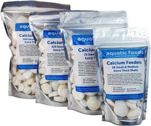 Aquatic Foods Inc. Calcium Feeder Small & Medium Shells. قذائف سميكة إضافية للروبيان والقواقع وسرطان البحر والتجديد والسرطان الناسفة وجميع الأسماك الاستوائية. 4 أوقية ... 26 حقيبة العد in Saudi Arabia