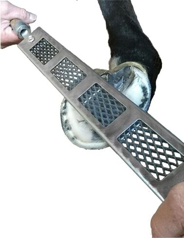 Cody James Dymondback Rasp - أفضل ملف لتقليص حافر الحصان - اختر غرامة أو متوسطة أو عدوانية (متوسطة) in Kuwait