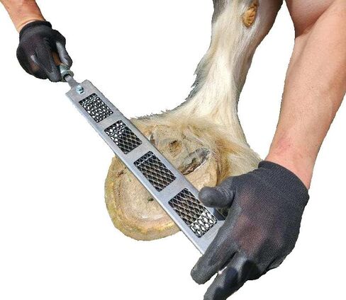 Cody James Dymondback Rasp - أفضل ملف لتقليص حافر الحصان - اختر غرامة أو متوسطة أو عدوانية (متوسطة) in Kuwait