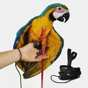 Adjustable Bird Harness with 78.7 Inch Leash, Outdoor Flying Training Rope Kit for Bird Parrots, Parrot Flying Rope Straps Outdoor Training Traction Rope for Small Medium Large Size Birds (XL)