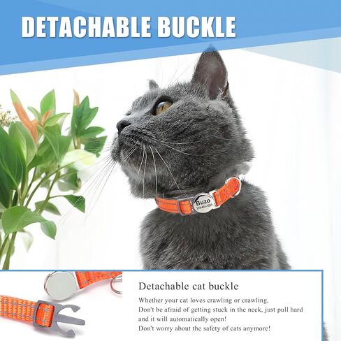 Personalized Engraved Cat Collar|Breakaway Safety Round Buckle|Reflective Adjustable Collar with ID Name Tag & Bell for Kittens & Puppies Cats,Red (7.5'' - 12'') in Saudi Arabia
