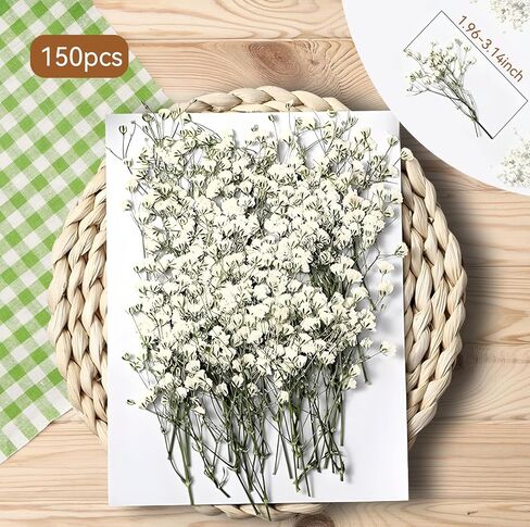 150Pcs Mini Dried Pressed White Baby’s Breath Flowers Bulk - Real Natural Flat Flowers for Epoxy Craft, Scrapbooking, Wedding Invitations, Home Decor, DIY Gifts for Crafters & Event Planners (150) in Saudi Arabia