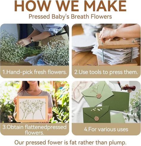 150Pcs Mini Dried Pressed White Baby’s Breath Flowers Bulk - Real Natural Flat Flowers for Epoxy Craft, Scrapbooking, Wedding Invitations, Home Decor, DIY Gifts for Crafters & Event Planners (150) in Saudi Arabia