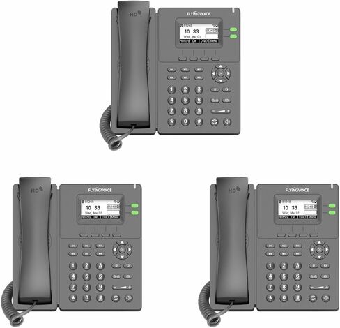 P20P VoIP Phone, Built-in 2.4GHz WiFi, AP & WiFi to LAN, USB 2.0 Port, IP Phone for Business, Dual 10/100 Mbps Ethernet Ports, 2 SIP Accounts, Power Supply Included (3 Bundle) in Saudi Arabia