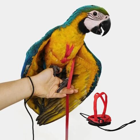 Adjustable Bird Harness with 78.7 Inch Leash, Outdoor Flying Training Rope Kit for Bird Parrots, Parrot Flying Rope Straps Outdoor Training Traction Rope for Small Medium Large Size Birds (XL) in Kuwait