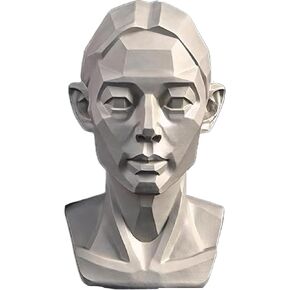 Female Planar Head Model for Drawing, Small Head Drawing Figure Mannequin, 3D Resin Manikin Head Sculpture for Artists Art Portrait Sketching, 4.5inch (Planar & Orginal)