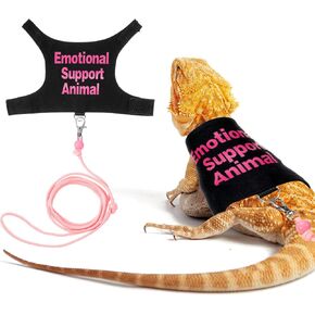 Bearded Dragon Leash and Harness Set, Adjustable Polyester Harness with 4.76ft Leash for Outdoor Walking, Leashs for Bearde Dragons Perfect Bearded Dragon Starter Kit, Pink & Black