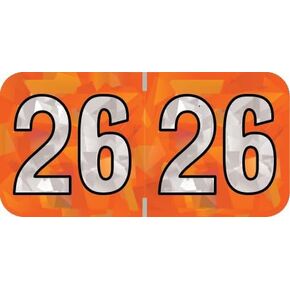 2025 Year Labels, Doctor Stuff 2025 Chart Stickers, Holographic Orange Colored, USA Made Year Label for End Tab File Folders, 500 Labels per Roll, 1 Roll, 3/4" x 1-1/2"