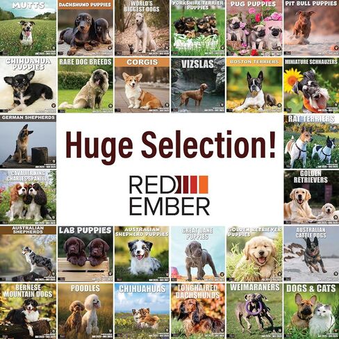 RED EMBER Jack Russell Terriers 2024 Hangable Monthly Wall Calendar | 12" x 24" Open | Thick & Sturdy Paper | Giftable | Cute Dog | Next-Level Adorable in Saudi Arabia