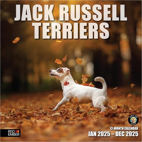 RED EMBER Jack Russell Terriers 2024 Hangable Monthly Wall Calendar | 12" x 24" Open | Thick & Sturdy Paper | Giftable | Cute Dog | Next-Level Adorable in Saudi Arabia