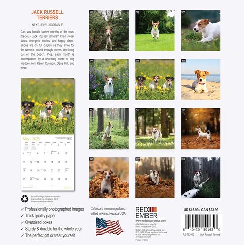 RED EMBER Jack Russell Terriers 2024 Hangable Monthly Wall Calendar | 12" x 24" Open | Thick & Sturdy Paper | Giftable | Cute Dog | Next-Level Adorable in Saudi Arabia