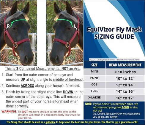 EquiVizor 95% UV Eye Protection (Full) Horse Fly Mask with Ears. Designed to Stay On Your Horse, Off The Ground. in Saudi Arabia