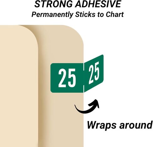 2025 Small Year Labels, Doctor Stuff 2025 Chart Stickers, Green Color Coded, Tab Products Style, USA Made Year Stickers for End Tab File Folders, 500/Roll, 1 Roll, 1/2" x 1-1/8" in Kuwait