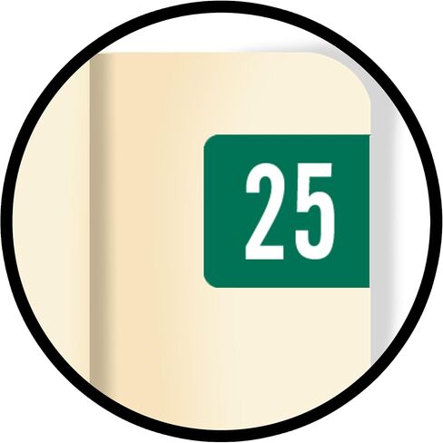 2025 Small Year Labels, Doctor Stuff 2025 Chart Stickers, Green Color Coded, Tab Products Style, USA Made Year Stickers for End Tab File Folders, 500/Roll, 1 Roll, 1/2" x 1-1/8" in Kuwait