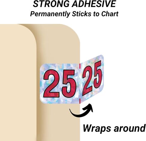 2025 Year Labels, Doctor Stuff 2025 Chart Stickers, Holographic Silver Colored, USA Made Year Labels for End Tab File Folders, Holo Series, 500 Labels per Roll, 1 Roll, 3/4" x 1-1/2" in Kuwait
