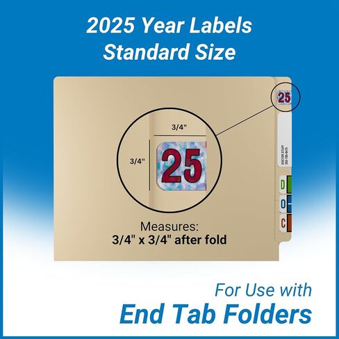 2025 Year Labels, Doctor Stuff 2025 Chart Stickers, Holographic Silver Colored, USA Made Year Labels for End Tab File Folders, Holo Series, 500 Labels per Roll, 1 Roll, 3/4" x 1-1/2" in Kuwait