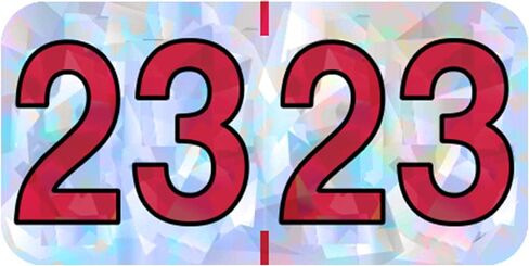 2025 Year Labels, Doctor Stuff 2025 Chart Stickers, Holographic Silver Colored, USA Made Year Labels for End Tab File Folders, Holo Series, 500 Labels per Roll, 1 Roll, 3/4" x 1-1/2" in Kuwait