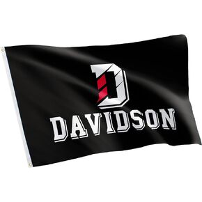 Desert Cactus Davidson College Flag Wildcats Flags Banners 100% Polyester Indoor Outdoor 3x5 (Style 6)