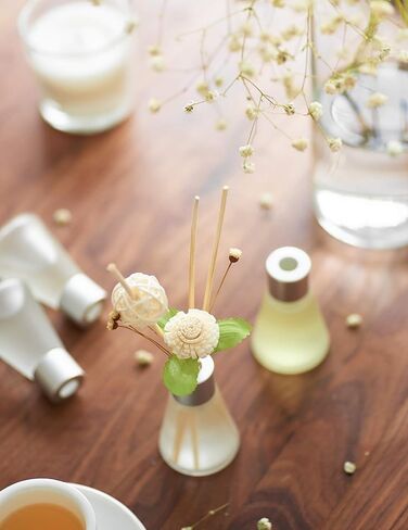 مجموعة ناشر القصب، ناشرات زيت القصب اللافندر لغرفة النوم وغرفة المعيشة والمكتب وزيت العلاج العطري لفكرة الهدايا وتخفيف التوتر (الطعم: اللافندر) in Kuwait