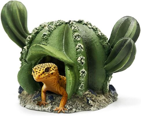 Reptile Hide Bearded Dragon Leopard Gecko Walnut Hideout Terrarium Tank Caves Accessories Turtle Lizard Snake Décor Amphibian Habitat Tortoise Personalized Decoration in Saudi Arabia