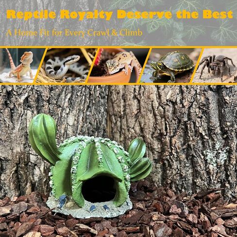 Reptile Hide Bearded Dragon Leopard Gecko Walnut Hideout Terrarium Tank Caves Accessories Turtle Lizard Snake Décor Amphibian Habitat Tortoise Personalized Decoration in Saudi Arabia