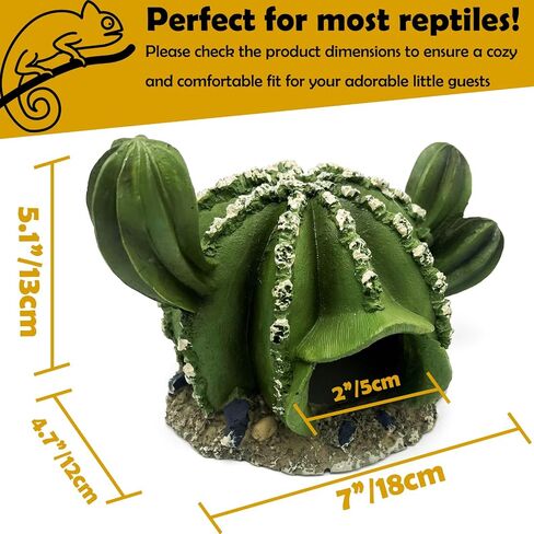 Reptile Hide Bearded Dragon Leopard Gecko Walnut Hideout Terrarium Tank Caves Accessories Turtle Lizard Snake Décor Amphibian Habitat Tortoise Personalized Decoration in Saudi Arabia