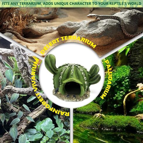Reptile Hide Bearded Dragon Leopard Gecko Walnut Hideout Terrarium Tank Caves Accessories Turtle Lizard Snake Décor Amphibian Habitat Tortoise Personalized Decoration in Saudi Arabia
