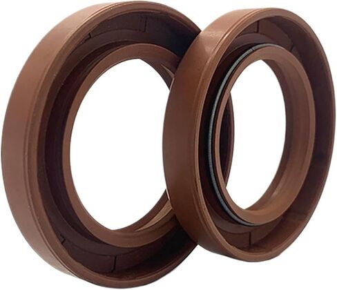 1/2PC ID 19 MM Oil Seal Skeleton Brown Fluoro FKM Fluorine Rubber Hydrauli Spring TC Ring Gasket 19x28x7 19x30x5 19x30x7(19x28x7 2PCS) in Kuwait