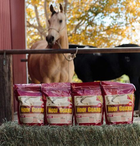 Equine Hoof Guard 10 lb, Concentrated Hoof Supplement, 32 mg. of Biotin in Saudi Arabia