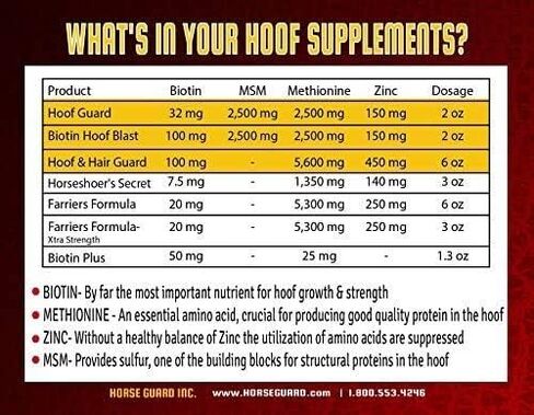 Equine Hoof Guard 10 lb, Concentrated Hoof Supplement, 32 mg. of Biotin in Saudi Arabia