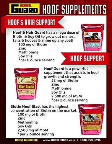 Equine Hoof Guard 10 lb, Concentrated Hoof Supplement, 32 mg. of Biotin in Saudi Arabia
