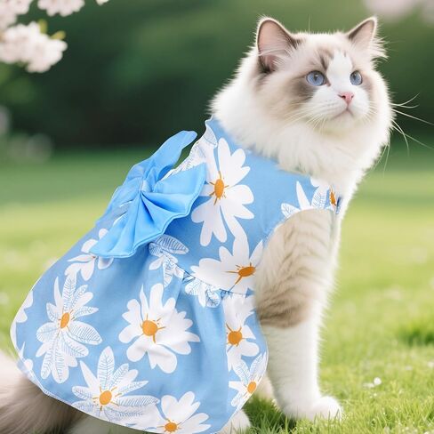 choyaxo 4pcs لطيف الكلب فستان فستان الحيوانات الأليفة جرو جرو ملابس الحيوانات الأليفة الصيف لجرو جرو القطط الصغيرة in Saudi Arabia