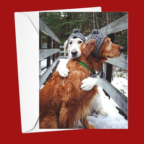 Galison Christmas Chorus – Notecard Set Featuring Adorable Holiday Cats Gathered Around 20 Cards And 21 Envelopes in Saudi Arabia
