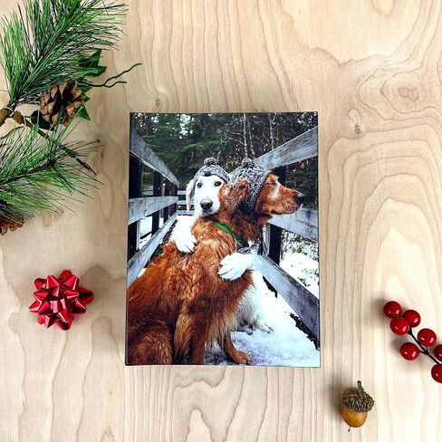 Galison Christmas Chorus – Notecard Set Featuring Adorable Holiday Cats Gathered Around 20 Cards And 21 Envelopes in Saudi Arabia