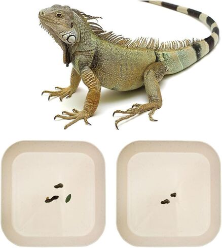 2 Pcs Leopard Gecko Potty Pad,Crested Gecko Potty Latrine，Leopard Gecko Tray，Reptile Litter Box，Portable Gecko Tank Accessories (Green) in Saudi Arabia