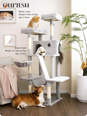 Ouritsu Cat Tree, 61 inch Tall Cat Tower for Large Cat Indoor, Enlarged Condo, 2 Padded Perches with 1 Widened, Large Hammock, Scratching Post and ramp, Fluffy Basket, Light Gray, LF002GA in Saudi Arabia