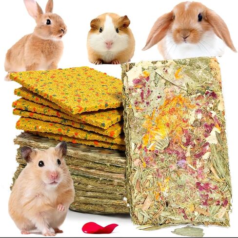 ألعاب الأرانب 10pcs 2 في 1 أرنب هش علاج الخنزير الخنزير المضغ لتنظيف أسنان إثراء تيموثي القش رقائق الهامستر الأطعمة المولية لشينشيلا جيربيل الفئران العناية بالأسنان الملل (4+6) in Kuwait
