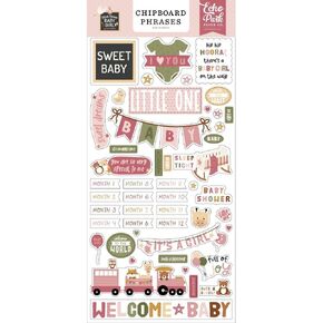 Special Delivery Baby Girl 6x13 Chipboard Phrases