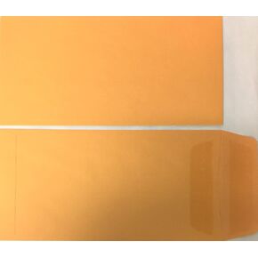 License Plate Envelopes - Blank Self Seal (200 Qty) (P3)