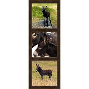 Three Vertical Donkeys Fabric Panel - AFF-002, Panel Size is 8.75" X 23.25", Quality Quilting Cotton