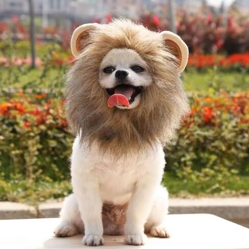 2 PCS Cat Bunny Ears & Cat Lion Mane Wig for Cat Costume ، Cat Hats for Cats فقط ارتداء ملابس عيد الفصح في عيد الفصح ، أزياء هريرة ، صورة عيد ميلاد ، in Saudi Arabia