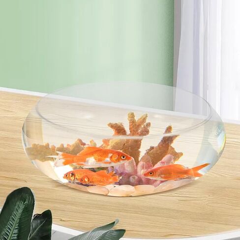 doitool صافحة السمك صحن المزهرية الزجاج الوعاء جولة زارع ضحل terrarium السمكة وعاء الماء زعن وعرض in Kuwait
