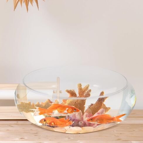 doitool صافحة السمك صحن المزهرية الزجاج الوعاء جولة زارع ضحل terrarium السمكة وعاء الماء زعن وعرض in Kuwait